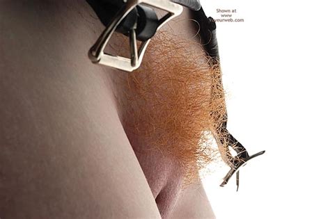 Overhead Firebush - Hall of Fame Photo - English Wife