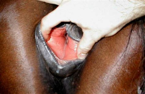 Niki Minaj Pussy Pics 4453 | HERES A PICTURE OF NICKI MINAJ'