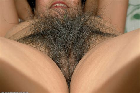 Mature Colombian Pussy 29995 | Hairy Nudist Pussy Mature Asi Mature Colombian Pussy 29995 Hairy Nudist Pussy Mature Asi