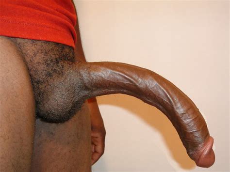 abnormally long cocks - XXGASM