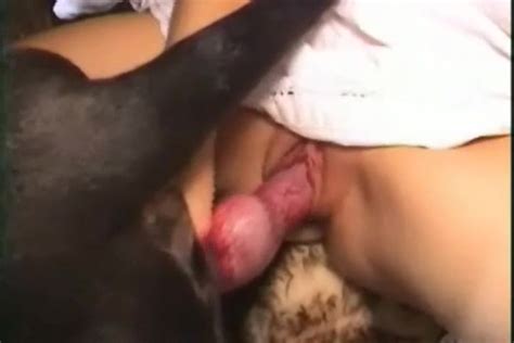Brutal black dog licks a wide-opened pussy of my wife ...