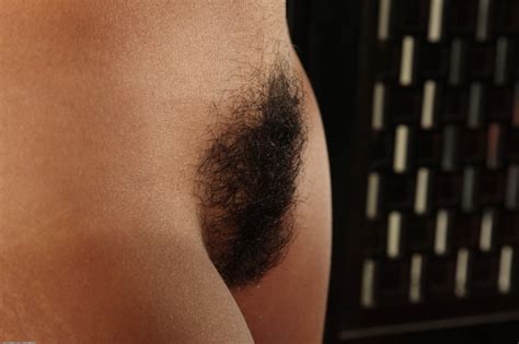 Hairy Celeb Porn - Hairy Celebrity Nude Image 4 Fap Celeb Hairy Pussy