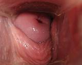 Gaping Old Black Pussy Gaping Old Black Pussy