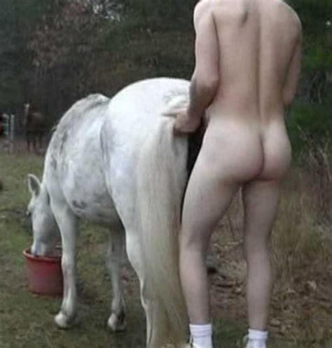 Gay Bestiality Tumblr