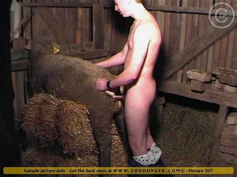 ZOO SEX. Lad fucking dirty sheep in hay on farm hardcore