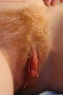 Hairy natural redhead tit - Porn pic Hairy natural redhead tit Porn pic