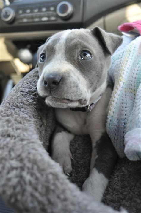 Photos from 4nakvn / Skywalker