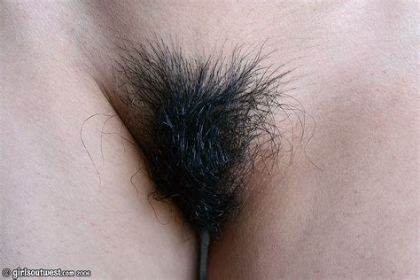 Super Hairy Pussy Black Women Super Hairy Pussy Black Women